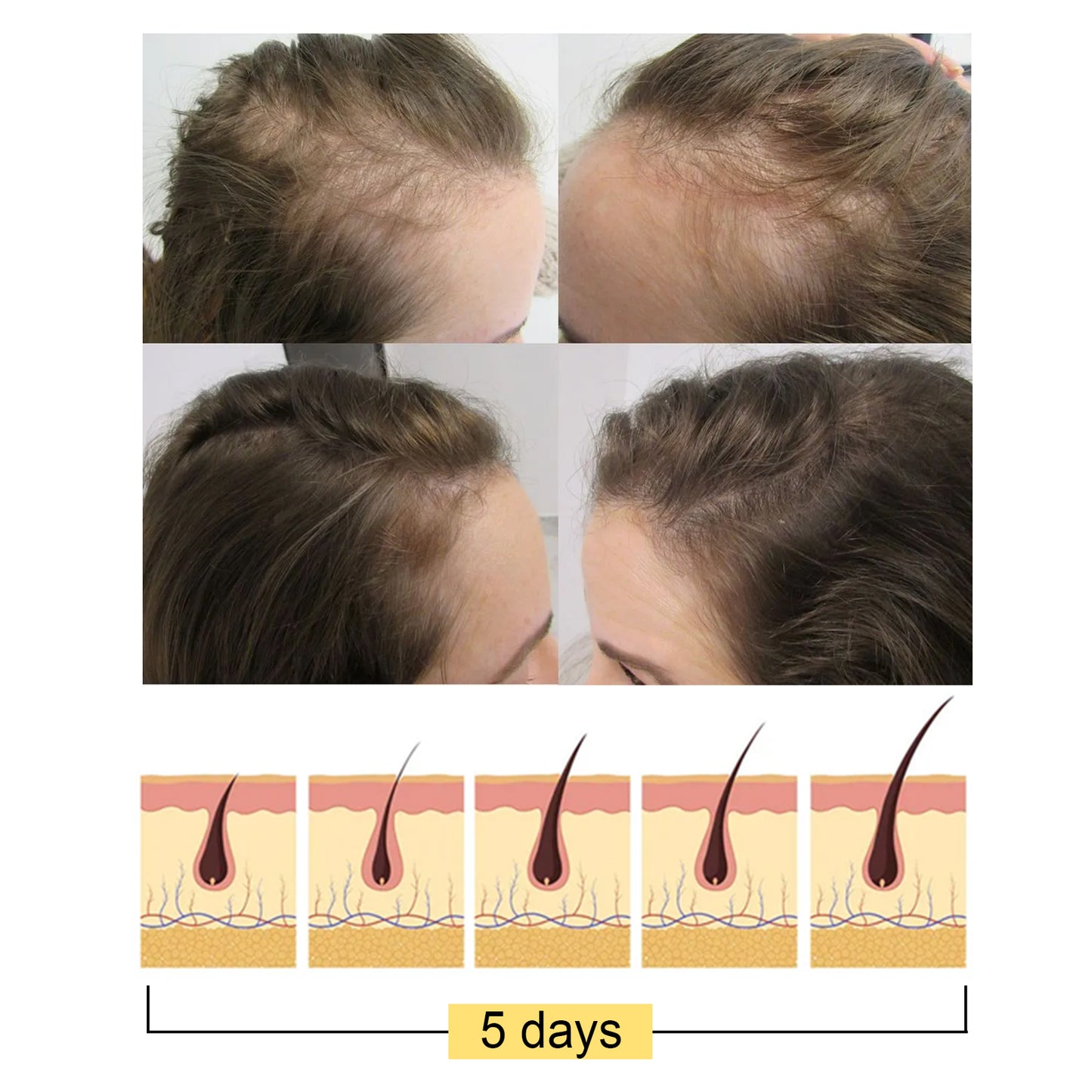 Shampoo Sólido de Jengibre | Limpieza Profunda · Nutrición Capilar · Densidad Natural · Fortalecimiento desde la Raíz · 60g